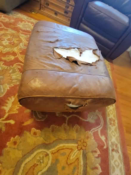 Photo of free Pottery Barn Chair & Ottoman (NE Portland) #2