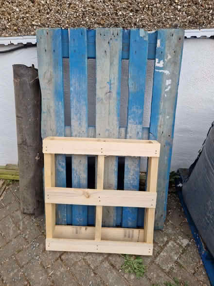 Photo of free Pallets (Kingsley Park) #1