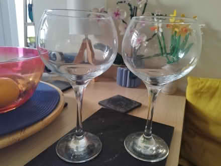 Photo of free Pair of Gin glasses (Grangetown CF11) #1