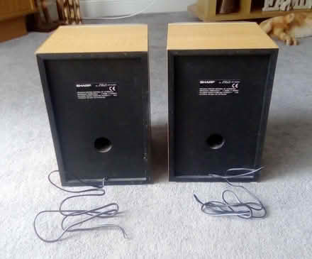 Photo of free sharp speakers (Waterlooville) #1