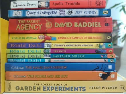 Photo of free Bundle of books ~9-12 year old (Raynes Park SW20) #1
