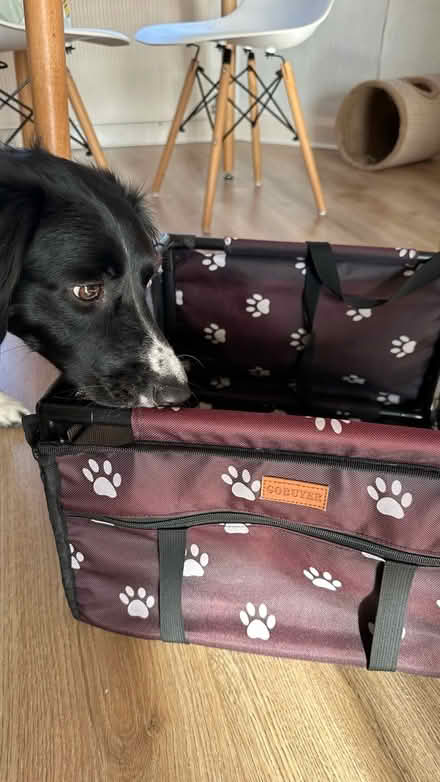 Photo of free Dog car seat basket (AL4) #4