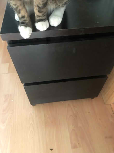 Photo of free Ikea MALM bedside Table (N19 Archway) #1