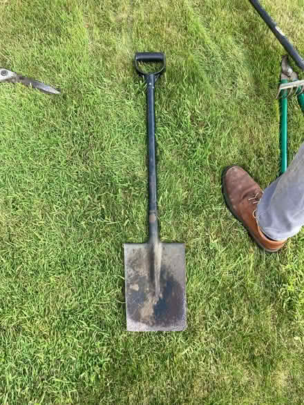 Photo of free Spade (GU14) #1