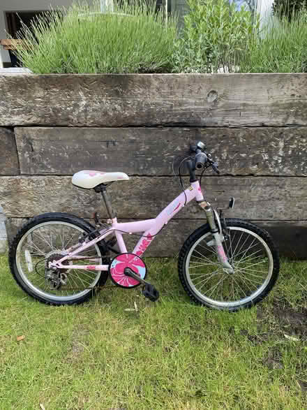 Photo of free Girls Bike Age 4 - 8 (Hinchley Wood KT10) #4