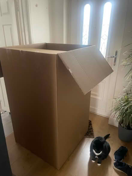 Photo of free Huge cardboard box (Bromley BR2) #1