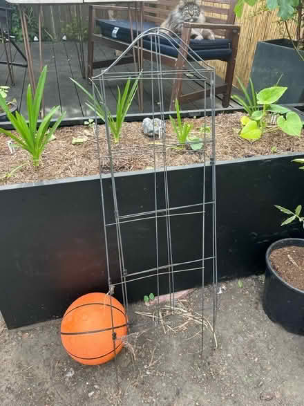 Photo of free 3 sided metal plant trellis/obelisk (Gorse Hill M16) #1
