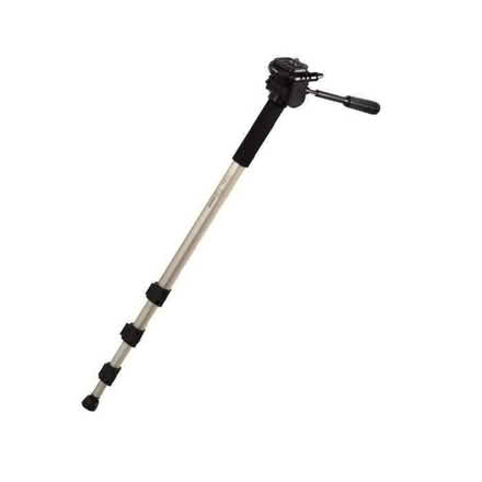Photo of free Monopod (Clive Vale TN35) #1