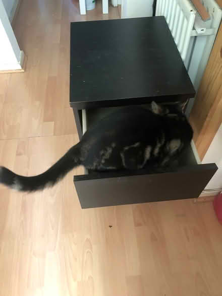 Photo of free Ikea MALM bedside Table (N19 Archway) #4