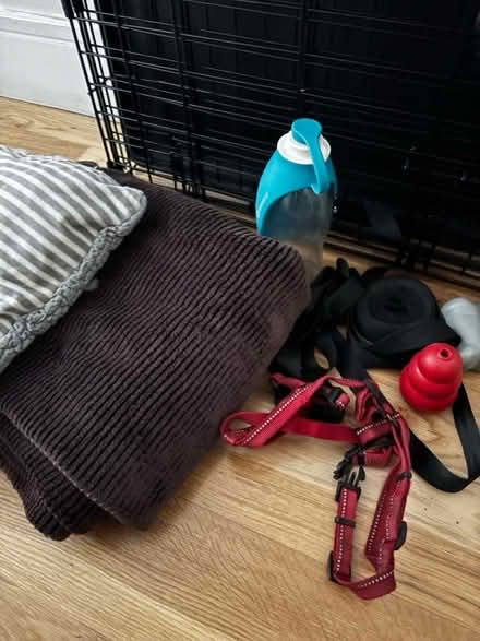 Photo of free Dog Crate & Dog Accessories (Bloomsbury -WC1N) #2
