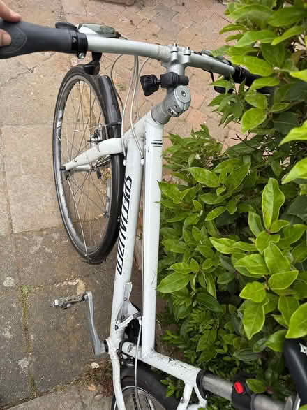 Photo of free Ladies hybrid bike (Wimbledon SW19) #2