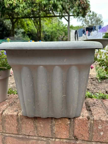 Photo of free Square grey plastic planter (Bewdley DY12) #1