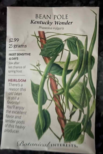 Photo of free Pole bean seeds (Ridley Park) #1