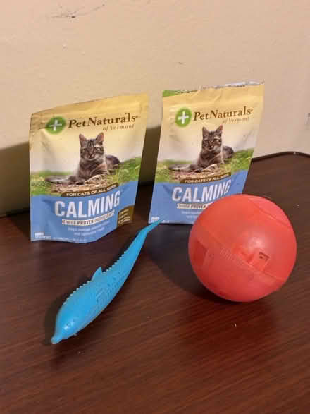 Photo of free Cat Accessories (1711 Randall Avenue, Bronx) #3