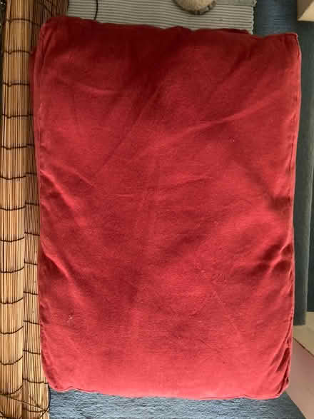 Photo of free 2 Futon Company Cushions (Ivybridge, Devon) #1