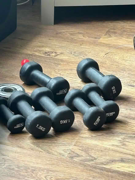 Photo of free Dumbbells (Bannockburn FK7) #1