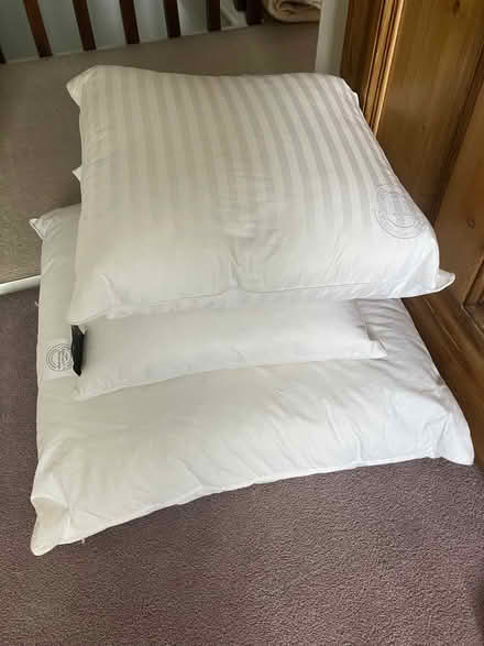 Photo of free Cushion Pads (Harrogate HG2) #1