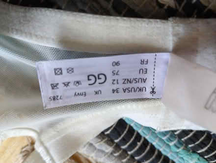 Photo of free Panache bra 34 GG (Heaton NE6) #4