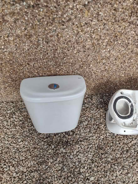 Photo of free Cloakroom corner sink and toilet (Clarkston G76) #3