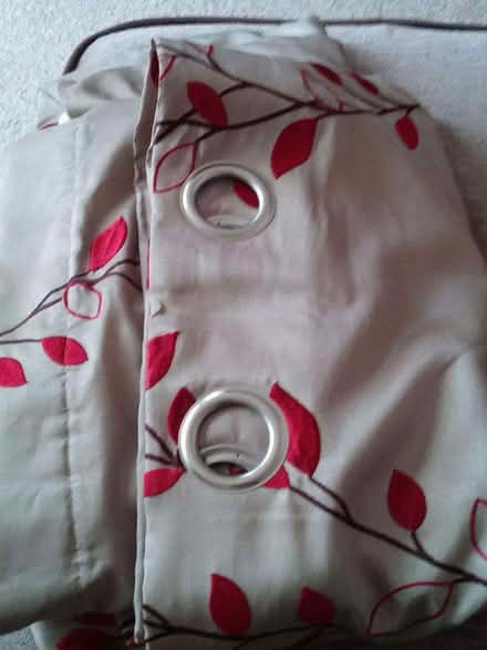 Photo of free Curtains (Rye TN31) #1