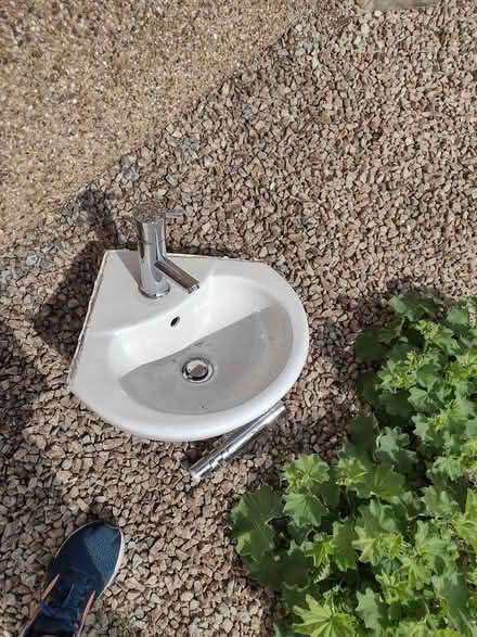 Photo of free Cloakroom corner sink and toilet (Clarkston G76) #1