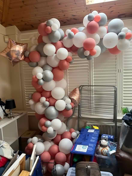Photo of free Balloon decoration for party (Beaver Row Donnybrook) #1