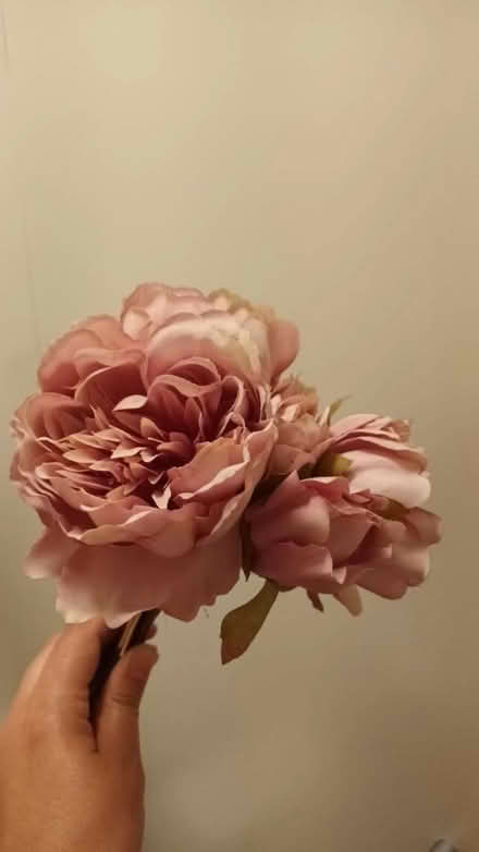 Photo of free Fake Peonies (SW11) #2