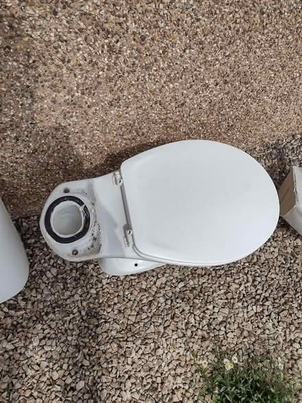 Photo of free Cloakroom corner sink and toilet (Clarkston G76) #2