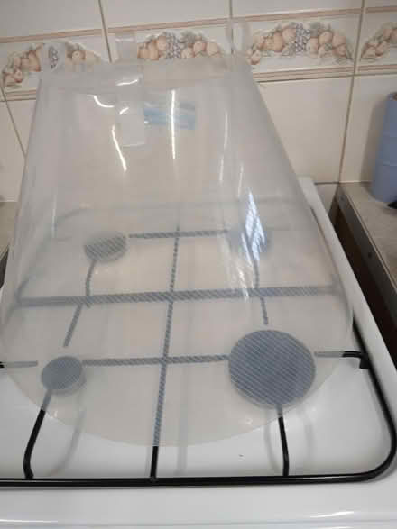 Photo of free Post surgery dog cone (Norton) #1