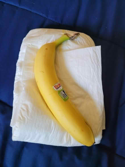 Photo of free Large Adult Diapers (Los Altos Hills, CA) #1