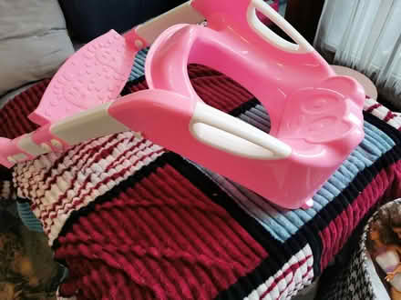 Photo of free Toddler training toilet seat (Woodside CR0) #1