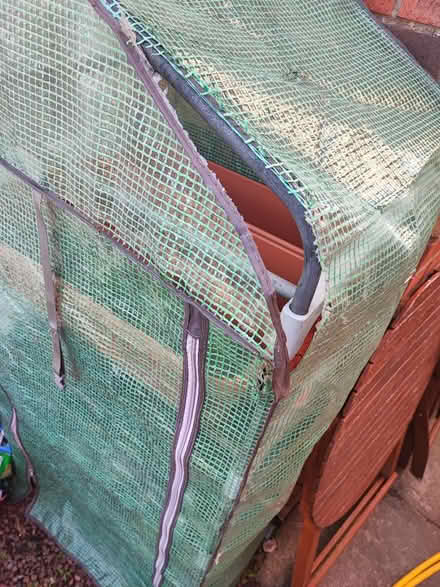 Photo of free Four tier mini plastic greenhouse (Danderhall) #2