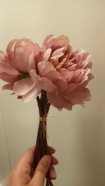Photo of free Fake Peonies (SW11) #1