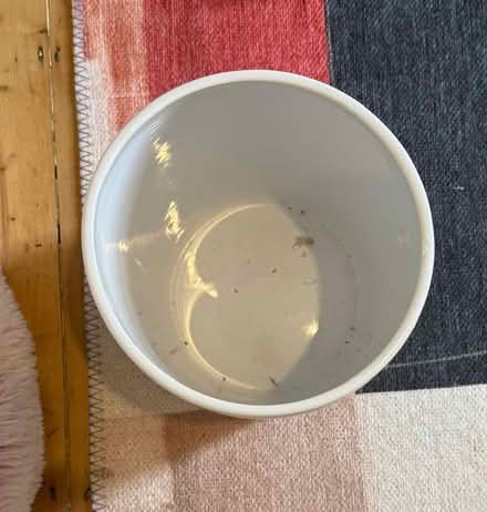 Photo of free Ceramic white small trash can (TW1) #2