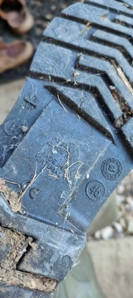 Photo of free Two pairs of wellies size 11 (Evercreech BA4) #3