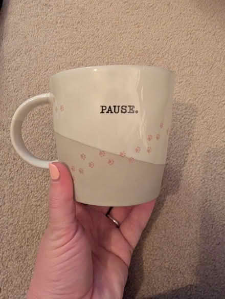 Photo of free White Stuff Dog Mug (Wokingham RG41) #1
