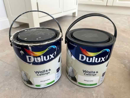 Photo of free Paint (Dussindale NR7) #1
