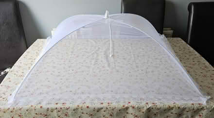 Photo of free Table sized food cover net (Chaddesden Wood DE21) #1