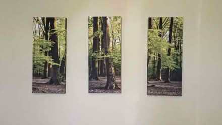 Photo of free Forest Wall Art (Town Furze OX3) #1