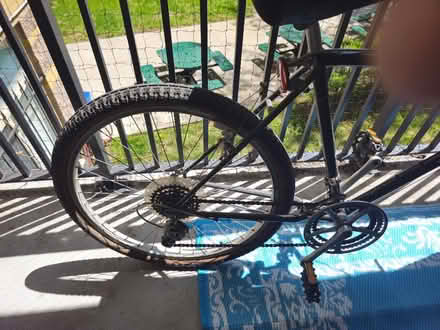 Photo of free Adult Raleigh Bike (Pape and Eastern Avenue) #3