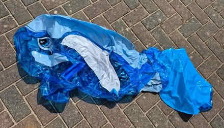Photo of free Inflatable whale (Southampton SO18) #1