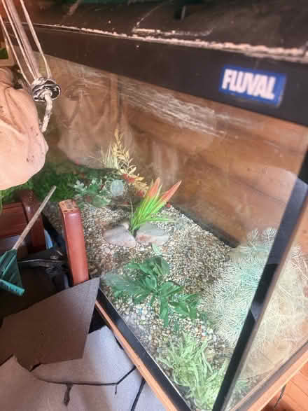 Photo of free Fish tank (Langley SL3) #2