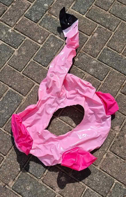 Photo of free Inflatable flamingo rubber ring (Southampton SO18) #1