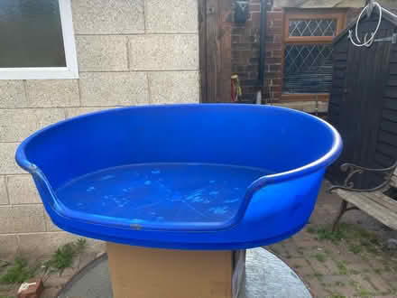 Photo of free A dog bed (Woodhouse S13) #1