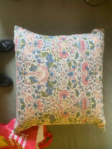 Photo of free Big pillow (Oxford Cowley OX4) #1