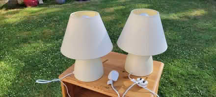 Photo of free bedside lamps (Martinstown DT2) #1