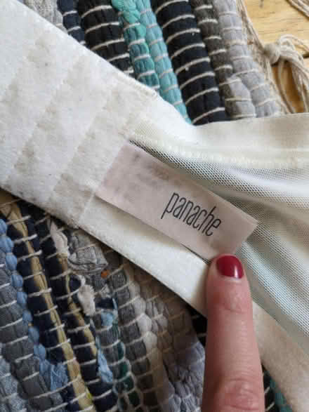 Photo of free Panache bra 34 GG (Heaton NE6) #3