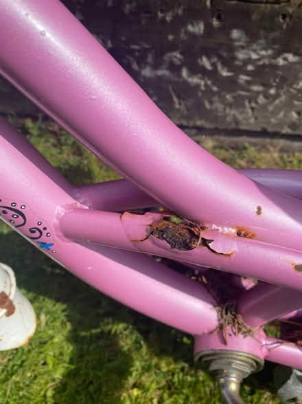 Photo of free Girls Bike Age 4-7 approx (Hinchley Wood KT10) #4