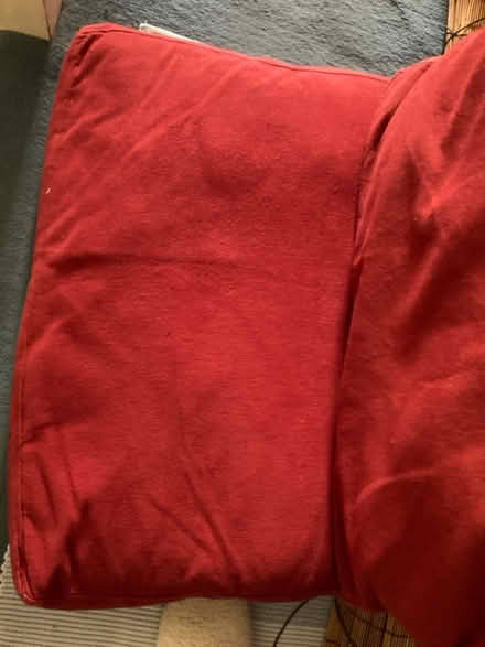 Photo of free 2 Futon Company Cushions (Ivybridge, Devon) #2
