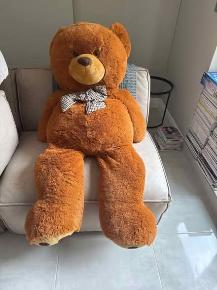 Photo of free Giant teddy bear (Great bookham) #1